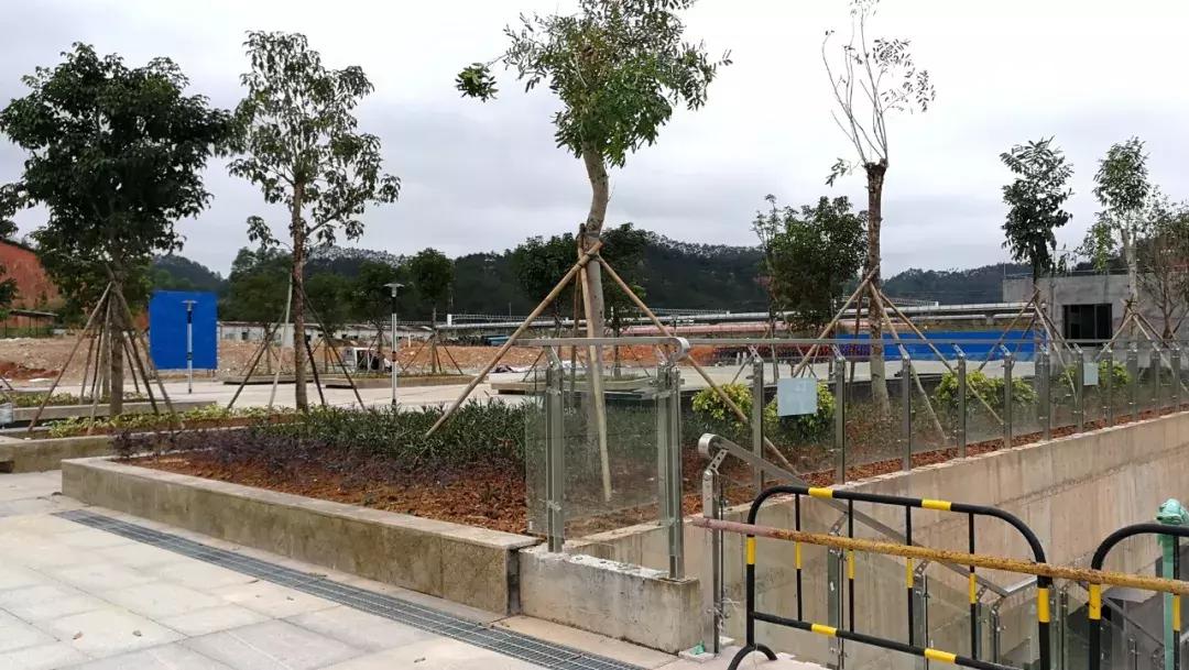 云浮高铁东站什么时候开通,高铁云浮东站