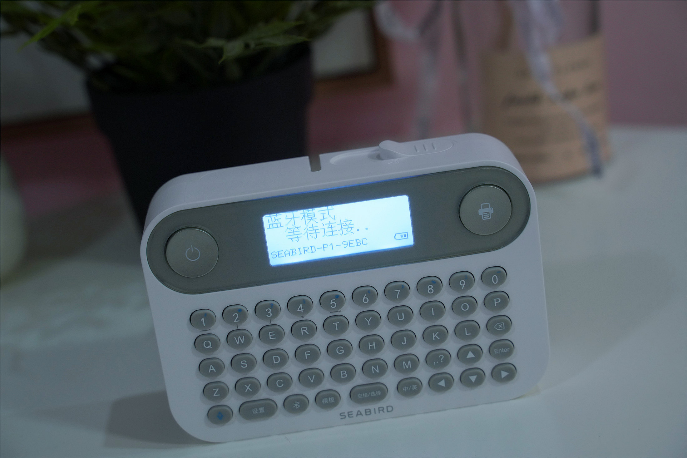 海鸟贴纸打印机,海鸟打印机使用方法