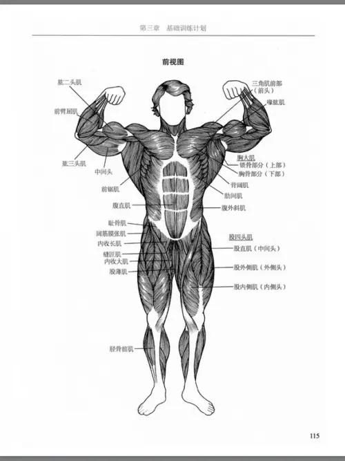 健身十年问啥都懂,健身你懂啥