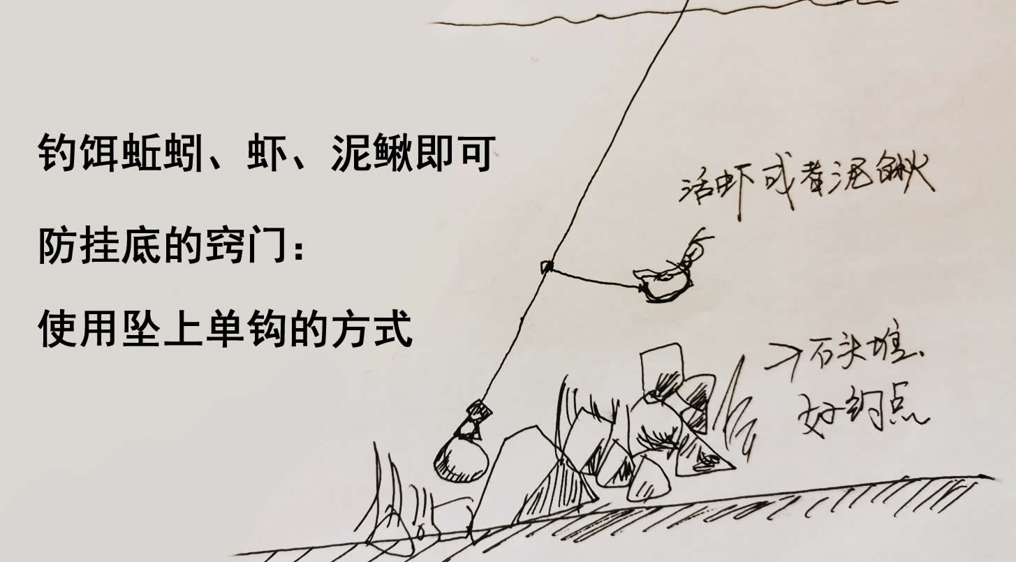 江团适合在什么水面上钓,野生江团用什么饵钓