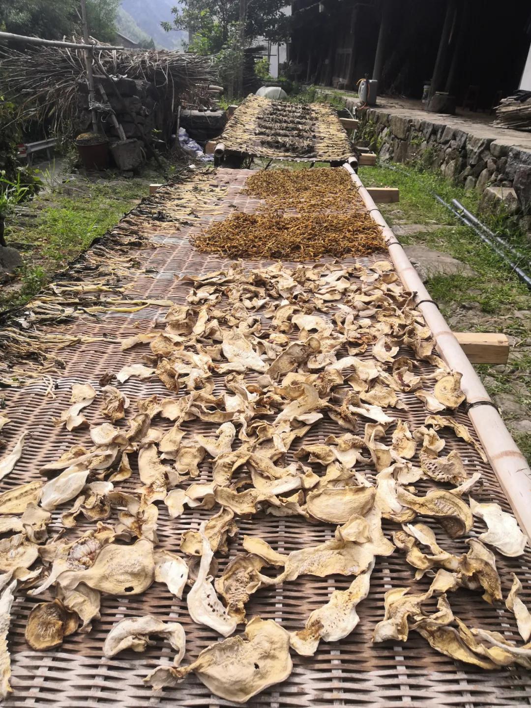 我要去旅行英文,我要去旅行完整版