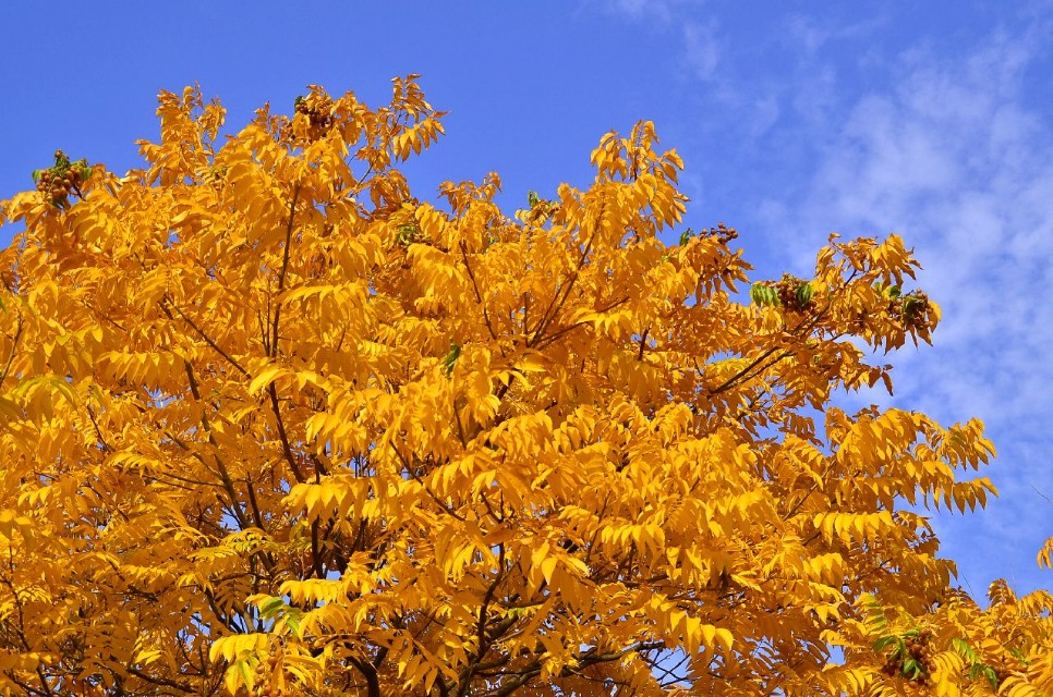 天底下顶好的调味品就是饥饿｜最忆那年那月的酸甜苦辣味