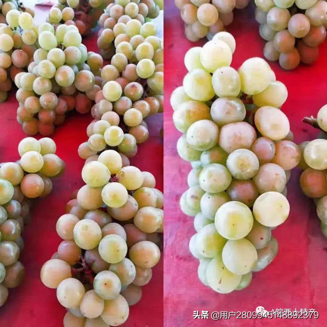 皖西特产,豫皖家乡特产