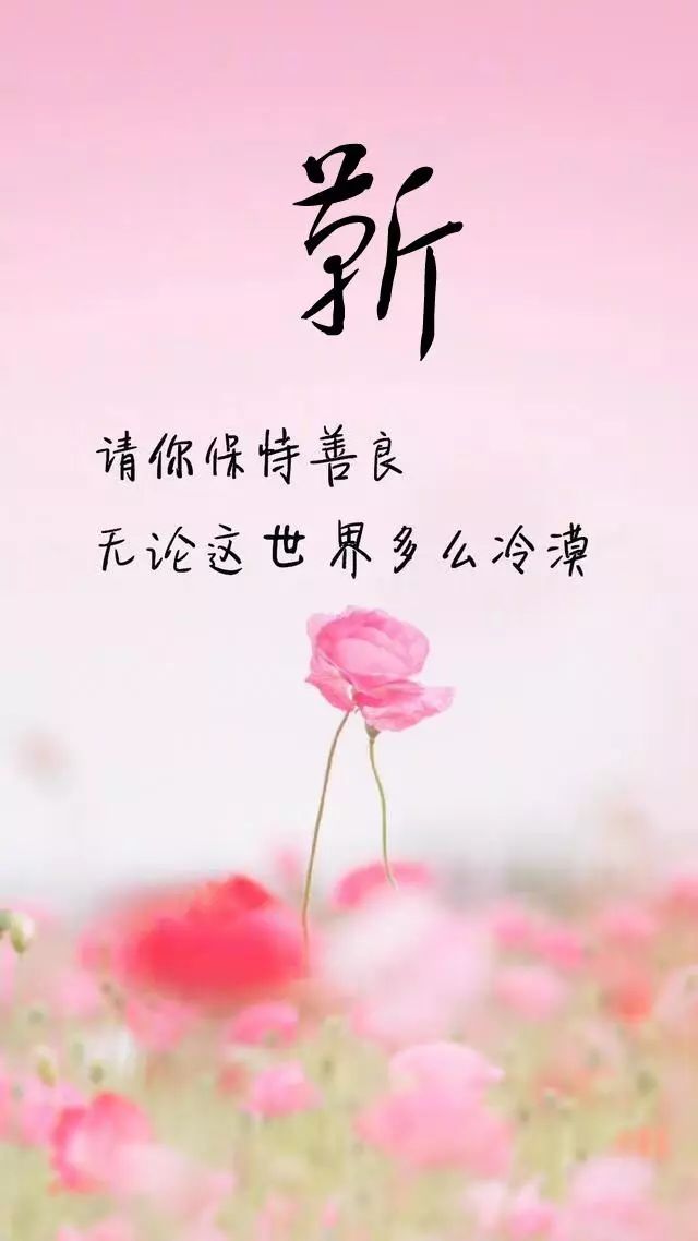 天然翡翠财字,翡翠字体图片欣赏