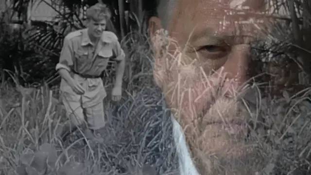 爽啊，一波爆炸！春节假期终于可以彻夜狂欢（上）