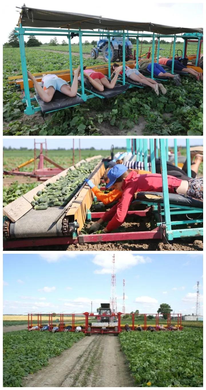 十大实用机械工具,看看几款超实用的机械工具