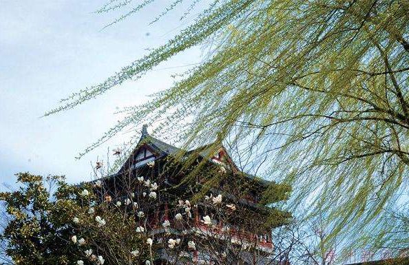 美文美图云水禅心,意境美图美文