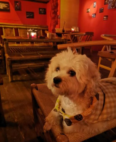 夏日沉醉的夜晚,夏季的夜晚出去走走