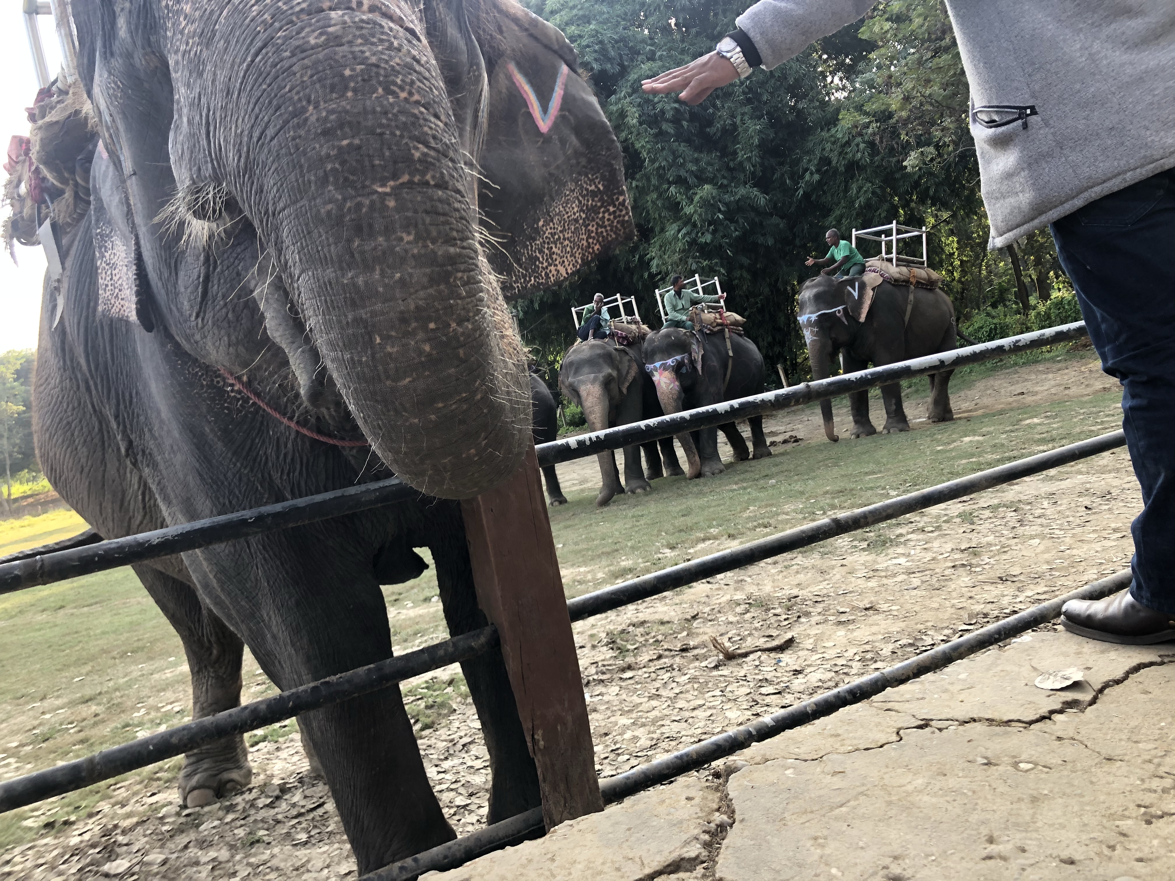 尼泊尔自由行旅游攻略,尼泊尔自驾游纯玩路线定制