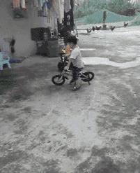 2019爆笑gif动图高清斗图,2019爆笑gif动图高清