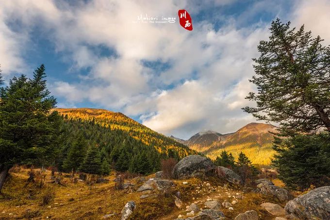 九寨沟什么最美,川西九寨沟最好的风景