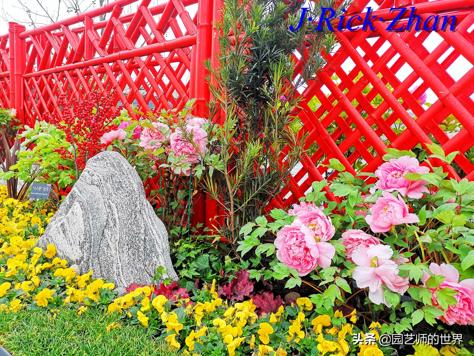 园艺研学报告,园艺园林研学