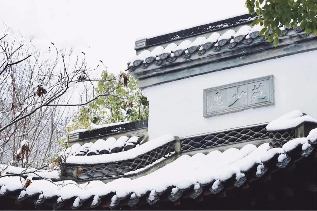 南京大学金陵小学怎么样,南京金陵小学仙林湖校区学费