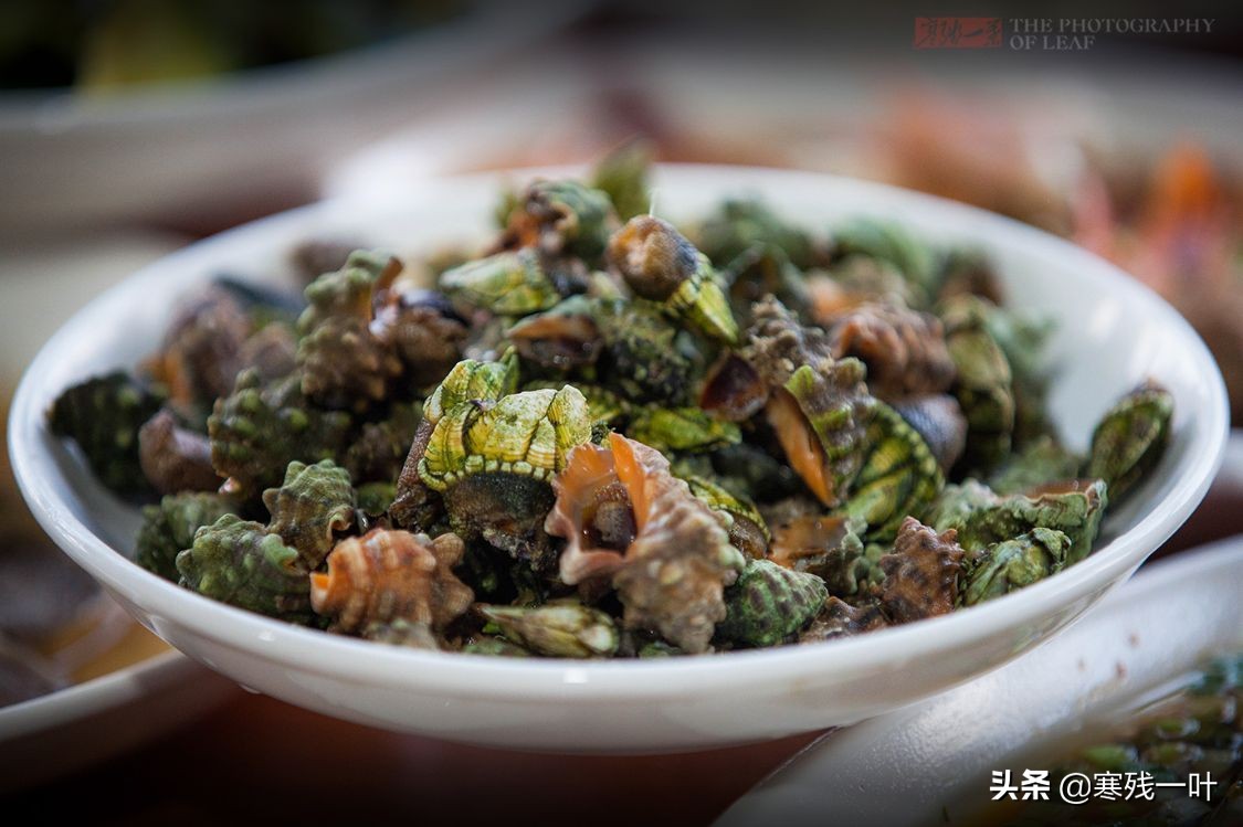 渔山岛船票价,浙江渔山岛来回船票