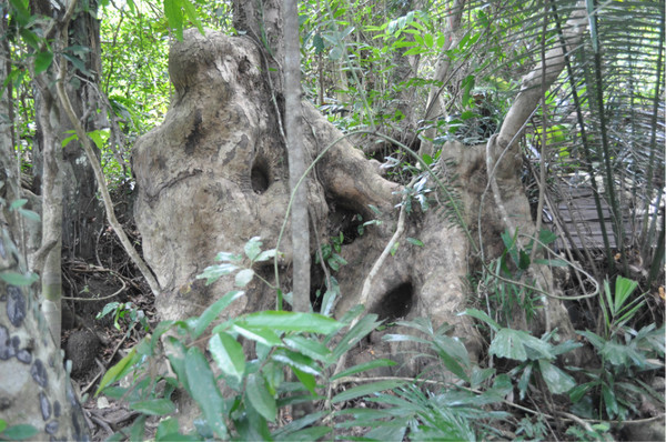 三亚自由行旅游攻略超详细哦,三亚旅游自由行全攻略