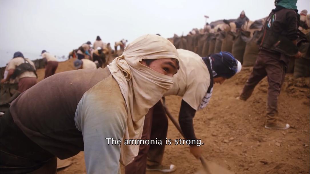 66岁渔民打鱼,60岁渔民捕鱼