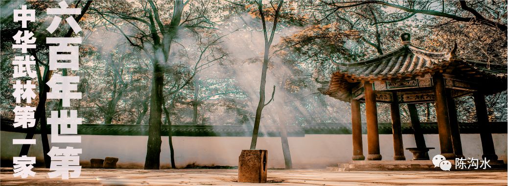 仙风道骨的太极拳,一招制敌的太极拳