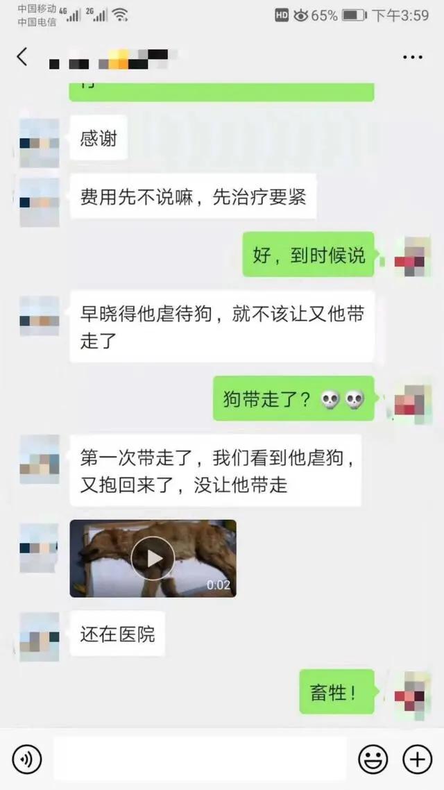 金毛被男子疯狂虐待，志愿者被威胁报复，有些人内心到底有多黑暗