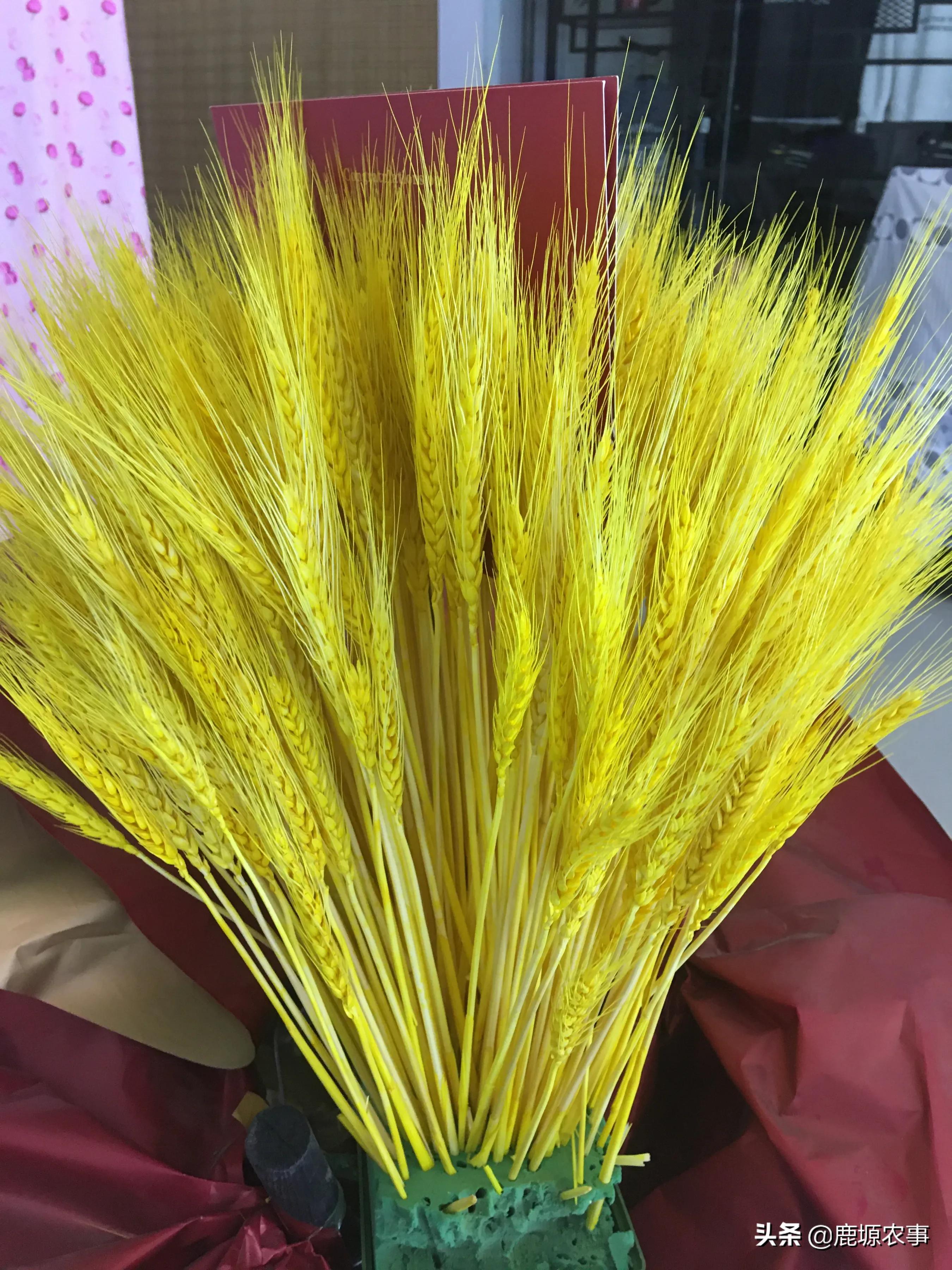 普通麦穗开业花篮,普通麦穗