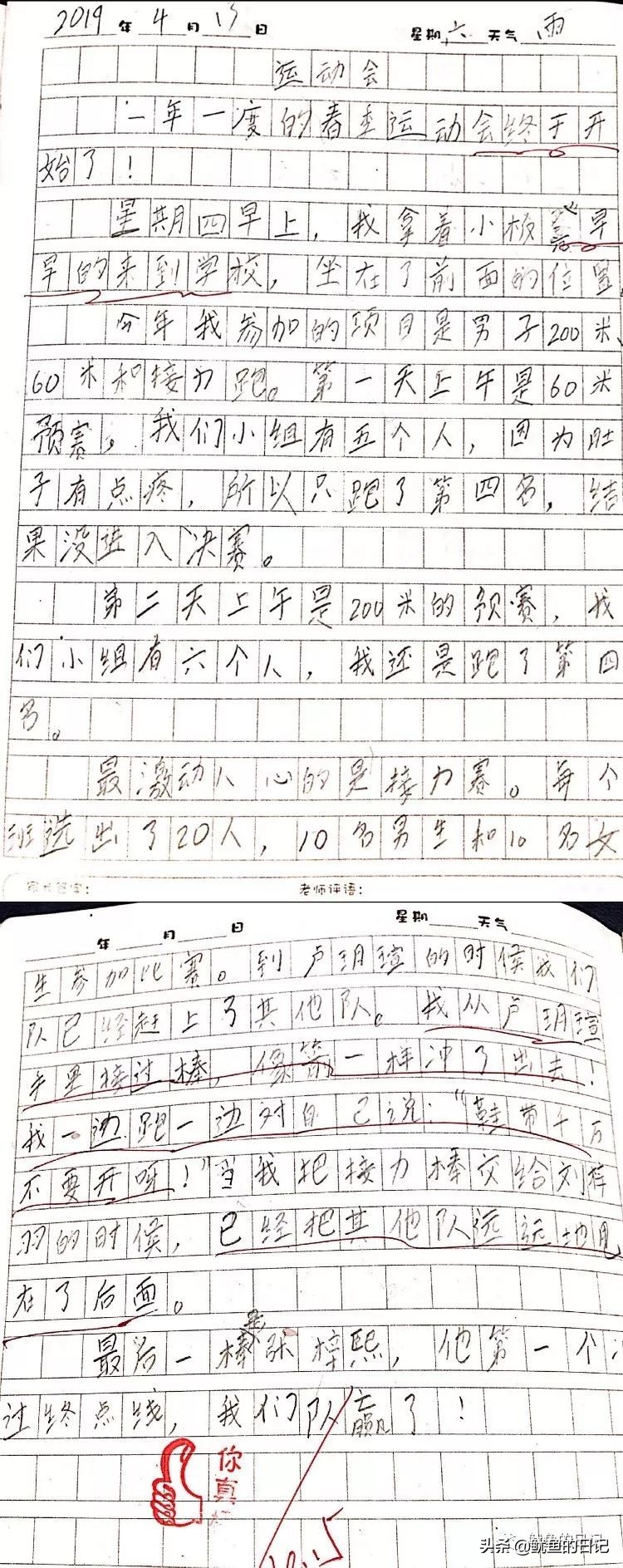 鞋带能开八百次,鞋带怎么不能开