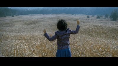 吹《寄生虫》不如吹它