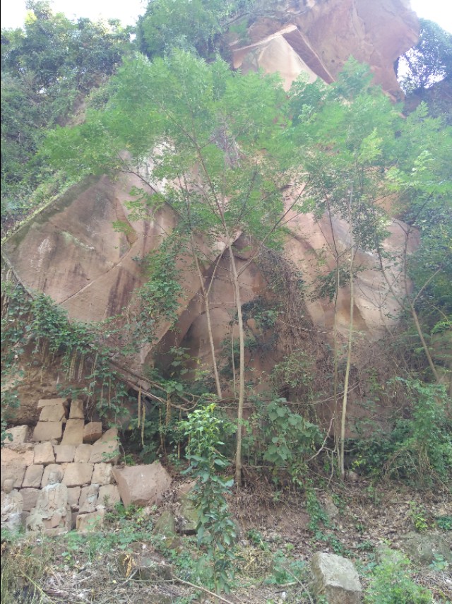 北碚乡村里最神秘的野风景一一野人谷蛮子洞群
