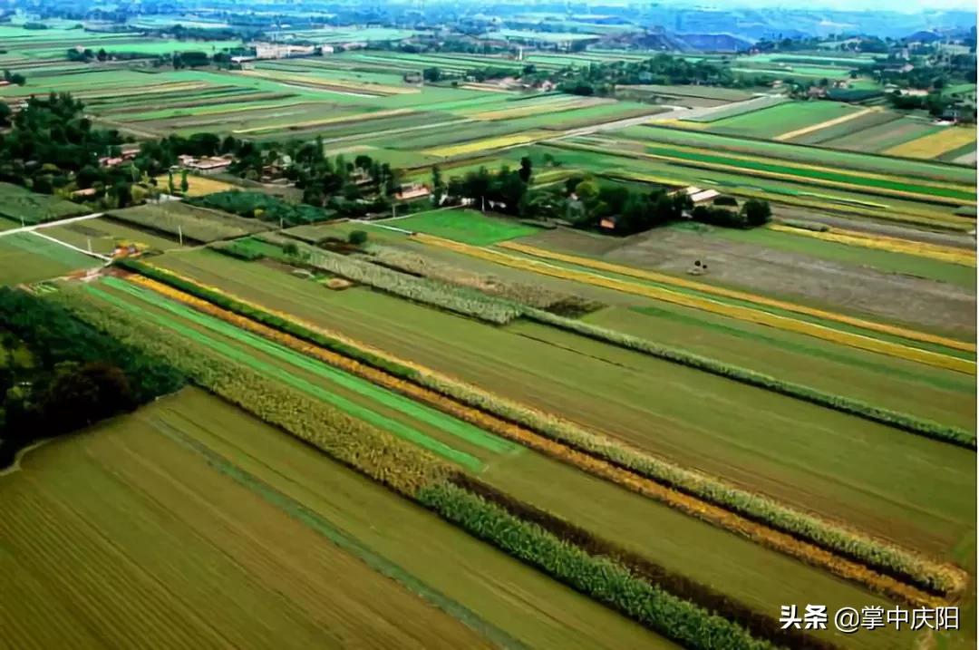 庆阳是哪个省的城市,庆阳市是怎样一个城市