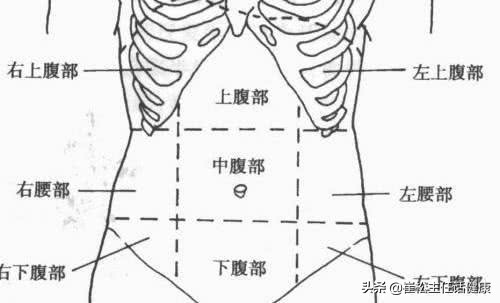 不想去医院第三弹！腹部不适的自我诊察