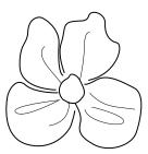 冬天的秘密带你一起回忆青春,属于你的冬季独一无二的记忆