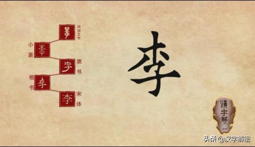李姓朋友注意：《说文解字》中，竟是如此解释“李”字，值得收藏