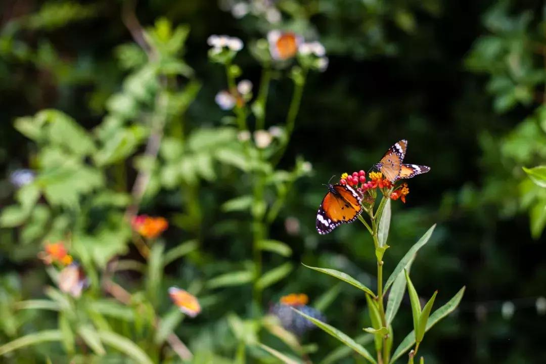 「文内福利」网红打卡地，五一来这嗨！