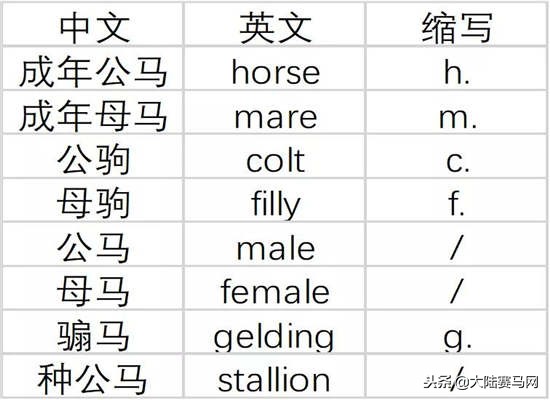 马也有护照？中国、日本的最好辨认，法国居然这么写！