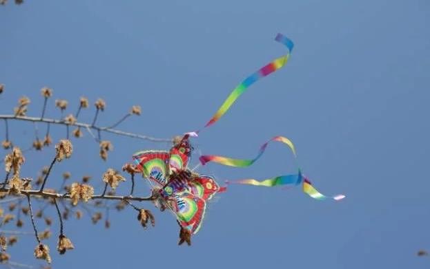 沈阳故宫和张氏帅府博物馆,沈阳张氏帅府博物馆旅游攻略