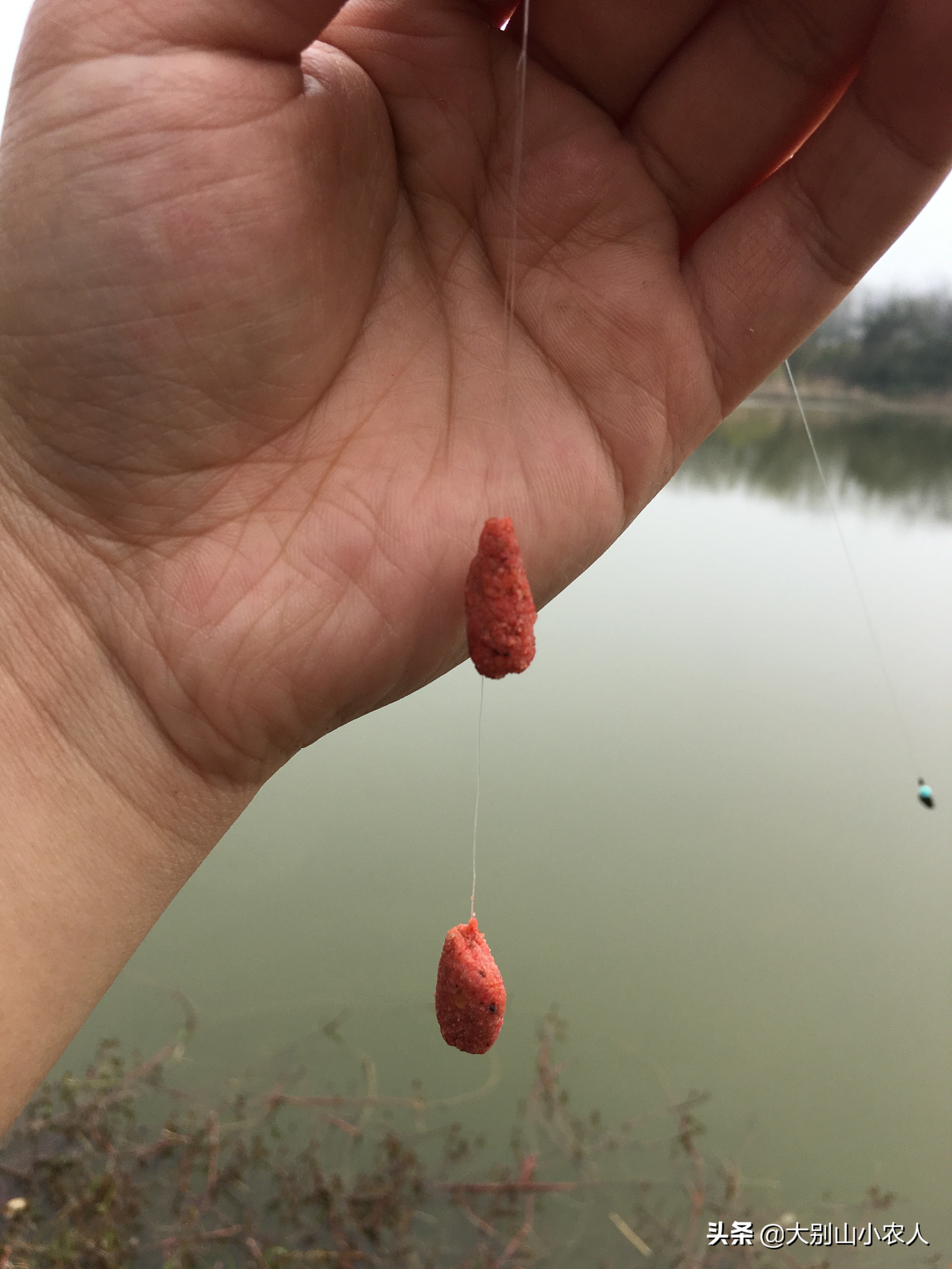 搓饵加酒米的使用方法,搓饵粘粉正确使用方法