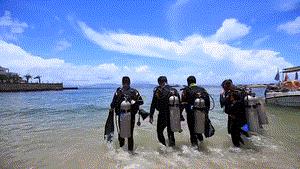 外伶仃岛一天的攻略,外伶仃岛适合玩一天还是两天