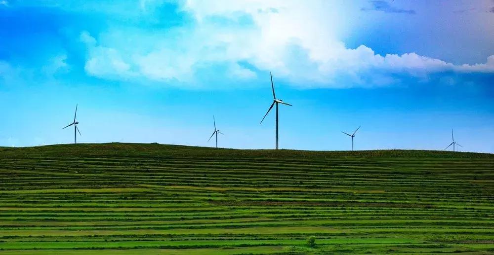 泼辣活动|“希望的田野”地铁影展征集