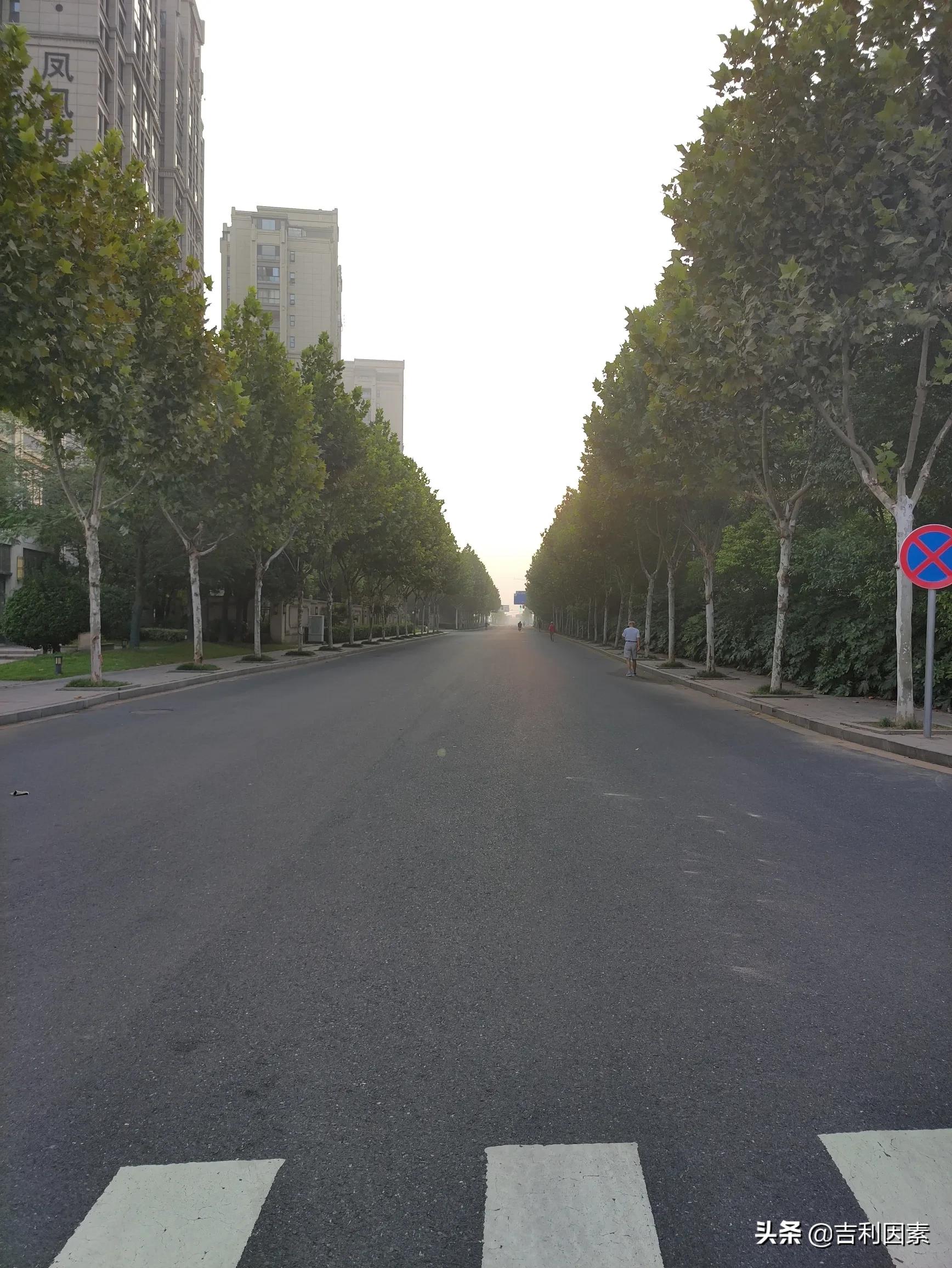 所谓婚姻就是连哄带骗,爱情需要连哄带骗吗