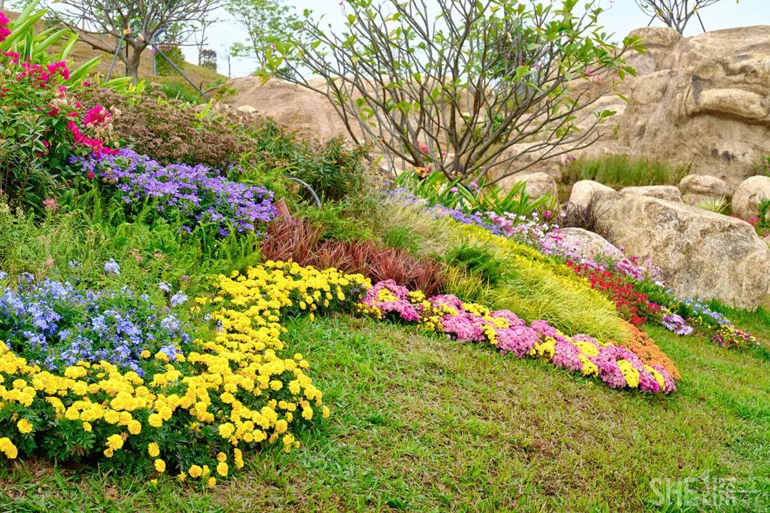 深圳网红公园地铁站,深圳地铁最近有什么公园