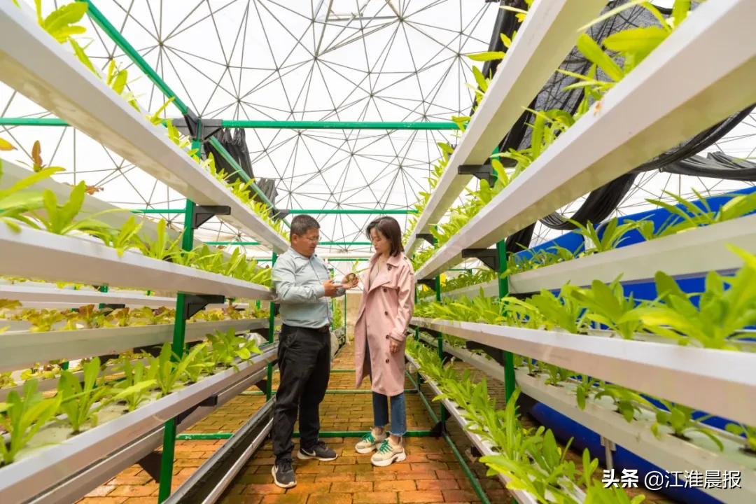 民宿大锅灶,民宿大锅灶房