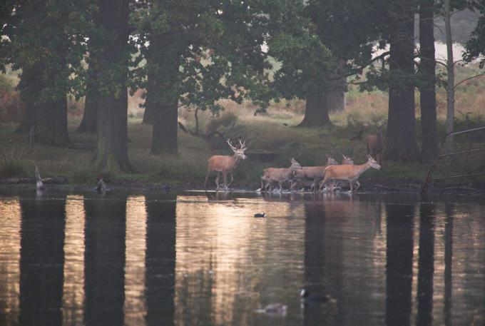 在阿姆斯特丹转机去英国攻略,第一次去英国需要什么手续