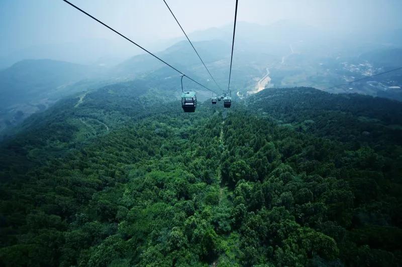 抱犊崮门票半价政策,中考生福利重庆