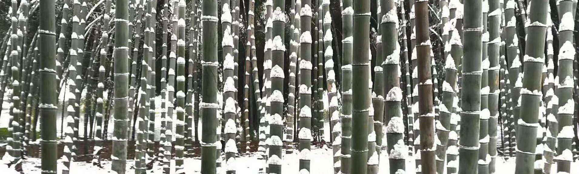 质子交换膜燃料电池温度咋控制的,质子交换膜燃料电池电压范围