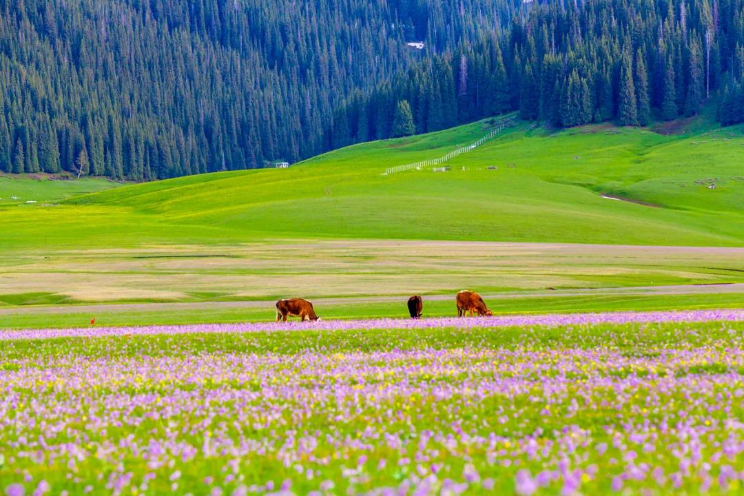hm耐克阿迪,hm耐克优衣库阿迪达斯