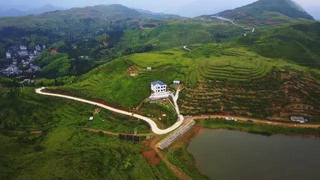 温州楠溪江好的主题民宿排名,楠溪江醉香楼客栈