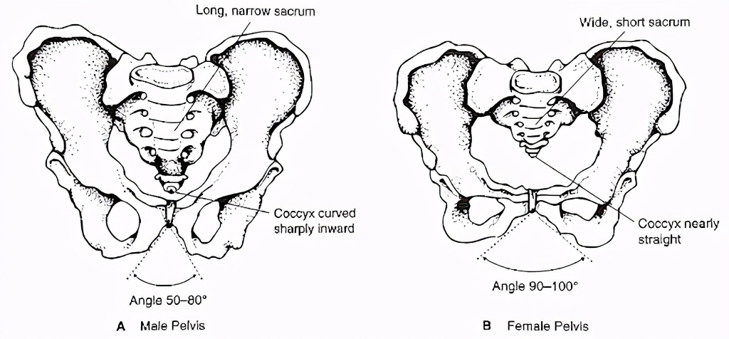 运动时骨折的简单处理方法,体育运动骨折的预防和处理措施