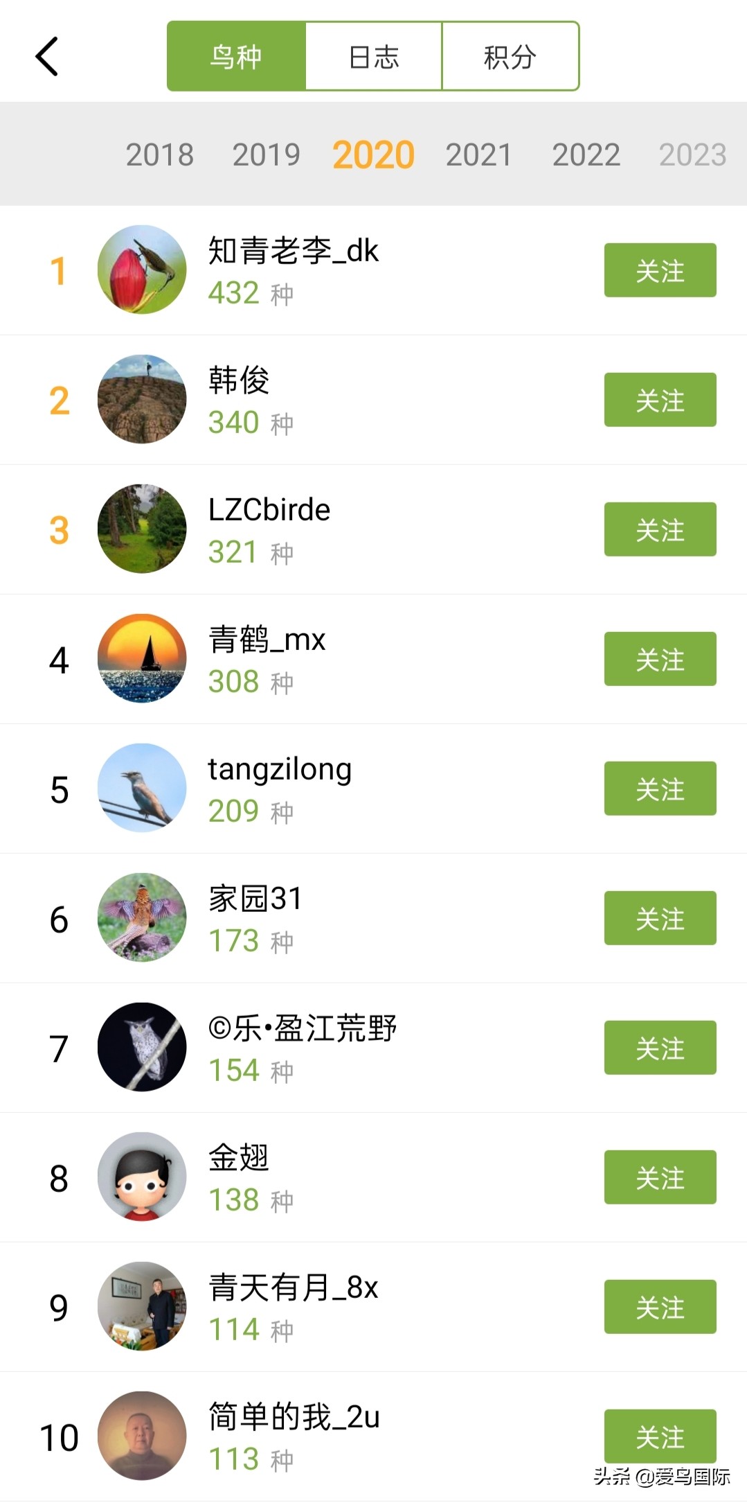 2020观鸟,观鸟大年影片