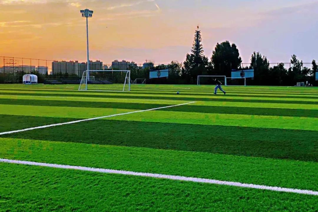 西安杜邑足球场是免费的吗,杜邑运动公园足球场费用