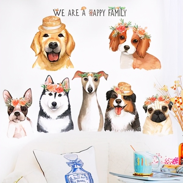 怎样正确饲养狗狗,如何科学饲养狗狗