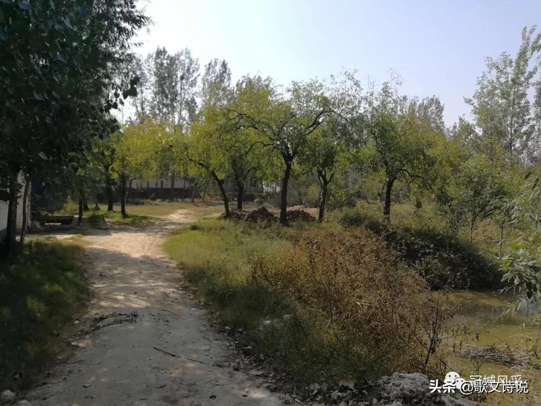 冠县贾镇高庄铺村,冠县乡韵北馆陶宗屯村