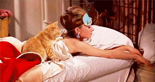 主卧带卫生间的利弊,主卧带卫生间好不好风水